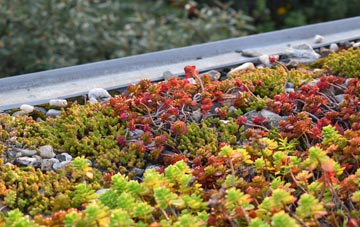 the cost of Shirrell Heath green roof installation