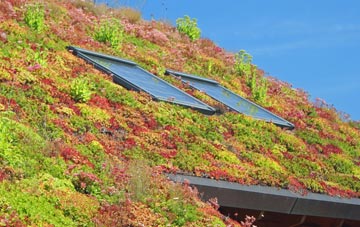 Shirrell Heath living roof systems